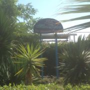 13839716_10207134750869778_1909560621_o